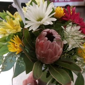 Meet your Posher, Nichole